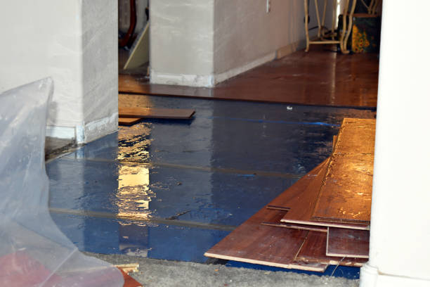 Professional Flood Damage Repair technician working in Devine, TX